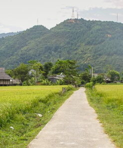 7 Day Trip: The Northwest